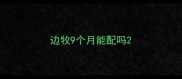 边牧9个月能配吗