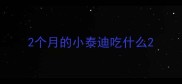 2个月的小泰迪吃什么