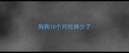 狗狗10个月吃得少了