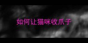 如何让猫咪收爪子