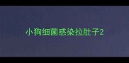 小狗细菌感染拉肚子