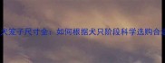 边牧幼犬笼子尺寸全如何根据犬只阶段科学选购合适犬笼