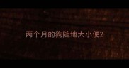 两个月的狗随地大小便