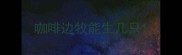 咖啡边牧能生几只