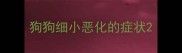 狗狗细小恶化的症状