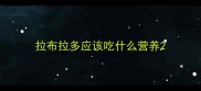 拉布拉多应该吃什么营养