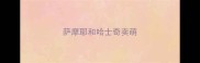 萨摩耶和哈士奇卖萌