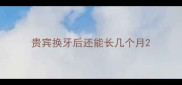贵宾换牙后还能长几个月