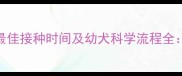 土狗狂犬疫苗最佳接种时间及幼犬科学流程全家长必读指南