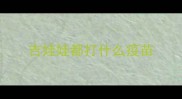 吉娃娃都打什么疫苗