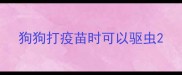 狗狗打疫苗时可以驱虫
