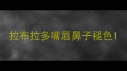 拉布拉多嘴唇鼻子褪色
