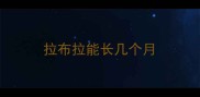 拉布拉能长几个月