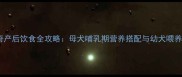 哈士奇产后饮食全攻略母犬哺乳期营养搭配与幼犬喂养指南