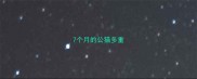 7个月的公猫多重