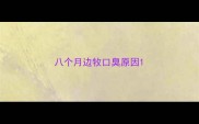八个月边牧口臭原因