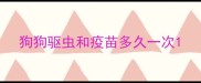 狗狗驱虫和疫苗多久一次
