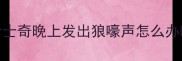 哈士奇晚上发出狼嚎声怎么办啊