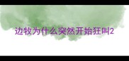 边牧为什么突然开始狂叫