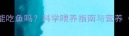 拉布拉多能吃鱼吗科学喂养指南与营养附食谱