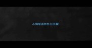 小狗尿有血怎么回事