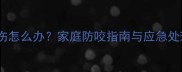 宠物狗咬伤怎么办家庭防咬指南与应急处理全攻略