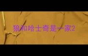 狼和哈士奇是一家