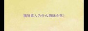 猫咪抓人为什么猫咪会死