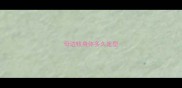 母边牧身体多久定型