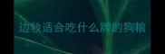 边牧适合吃什么牌的狗粮