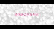 给狗脑炎疫苗多钱