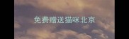 免费赠送猫咪北京