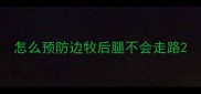 怎么预防边牧后腿不会走路