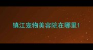 镇江宠物美容院在哪里