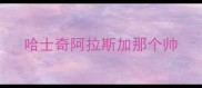 哈士奇阿拉斯加那个帅