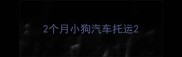 2个月小狗汽车托运
