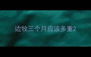 边牧三个月应该多重