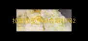 拉布拉多怀孕会呕吐吗