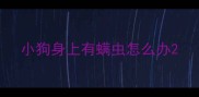 小狗身上有螨虫怎么办