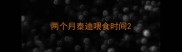 两个月泰迪喂食时间