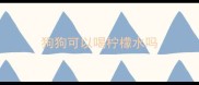 狗狗可以喝柠檬水吗