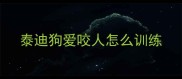 泰迪狗爱咬人怎么训练