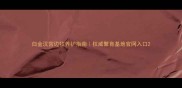 白金汉宫边牧养护指南权威繁育基地官网入口