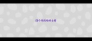 四个月的哈哈士奇