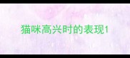 猫咪高兴时的表现