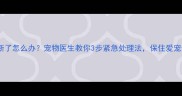 狗狗腿断了怎么办宠物医生教你3步紧急处理法保住爱宠生命线