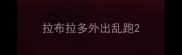 拉布拉多外出乱跑