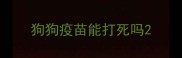 狗狗疫苗能打死吗