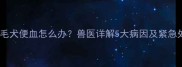 10月龄金毛犬便血怎么办兽医详解5大病因及紧急处理指南
