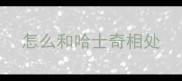 怎么和哈士奇相处